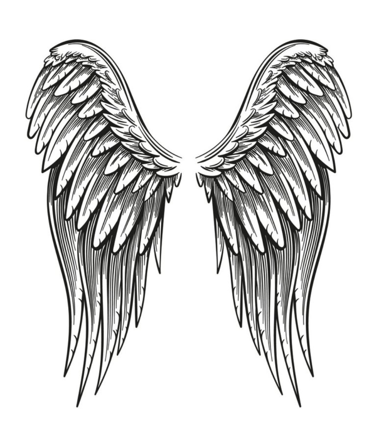 Сложенные Крылья на спине