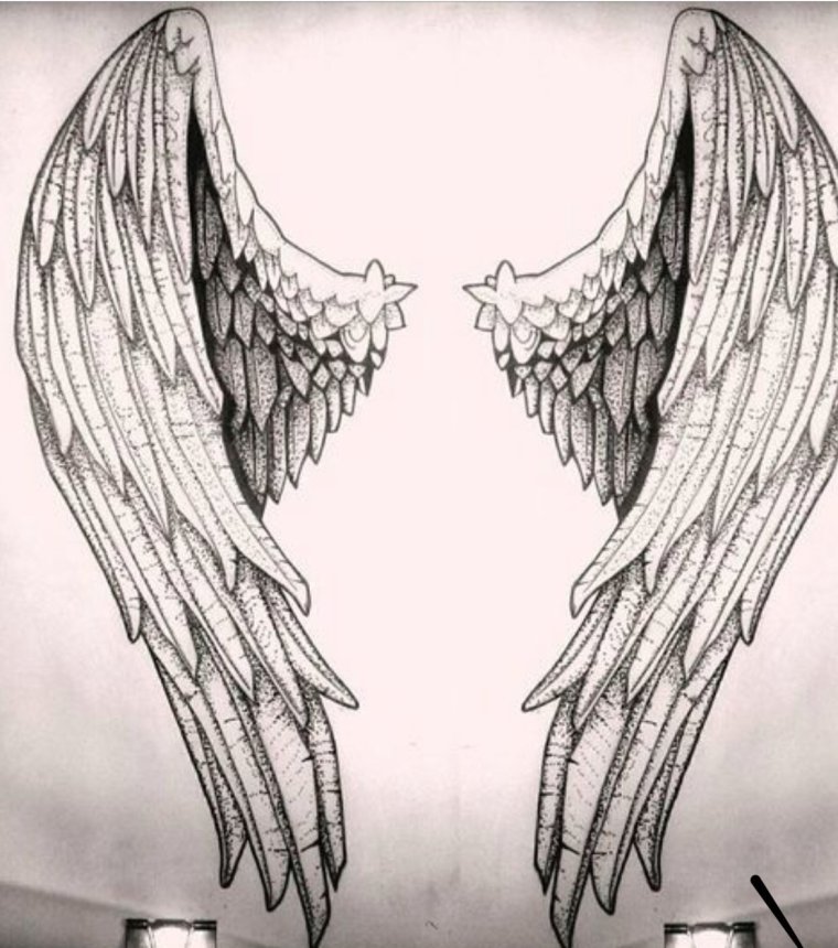 Крылья ангела