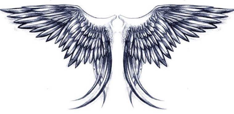 Эскиз Крылья на спину