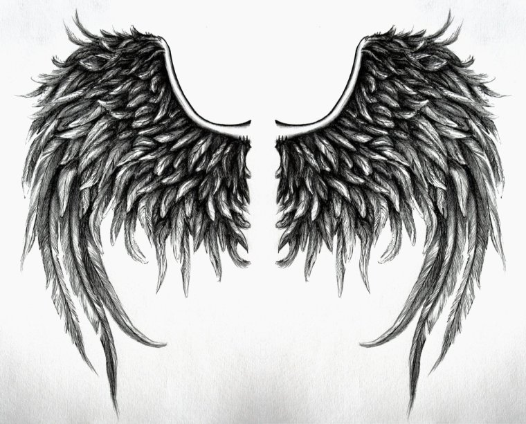 Крылья эскиз