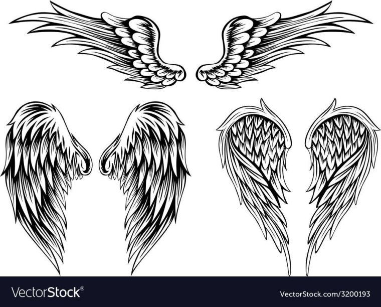 Крылья тату эскиз