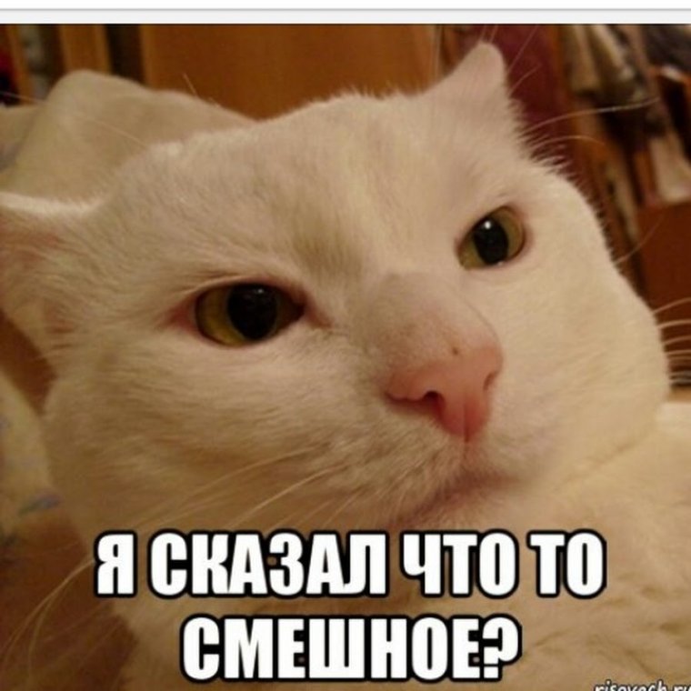 У кого-то завтра день рождения