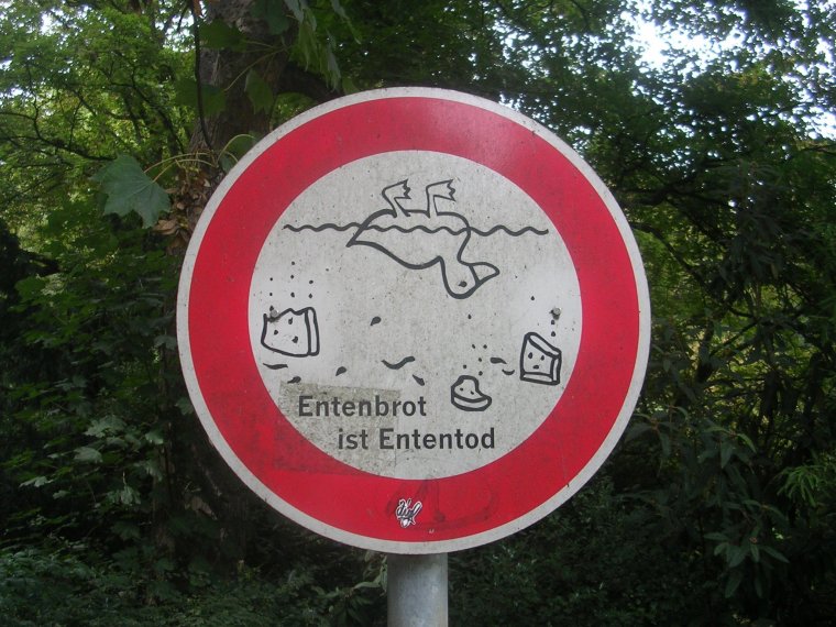 Знаки с надписями