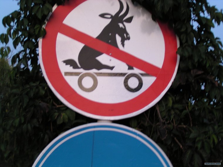 Смешные знаки запрета