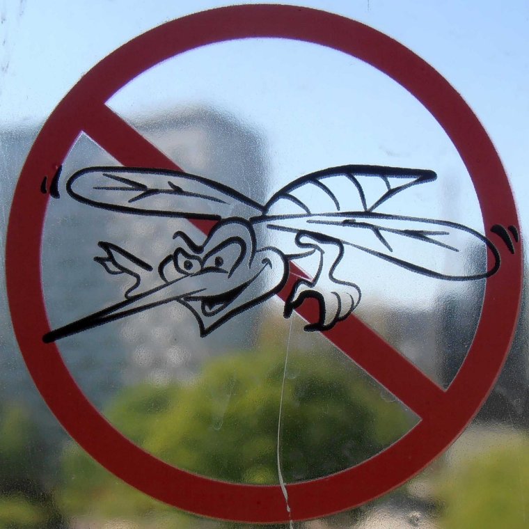 Оригинальные запрещающие знаки