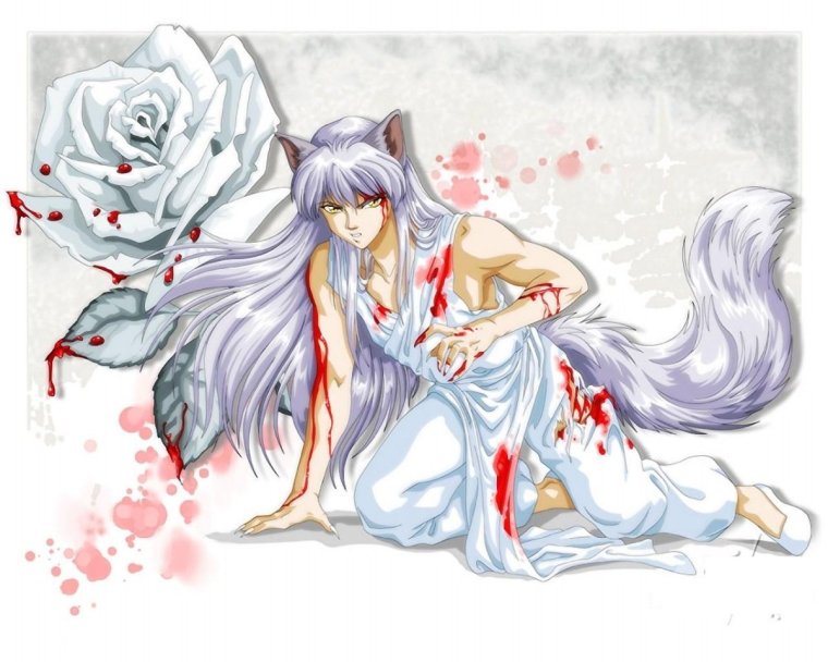 Кумихо аниме