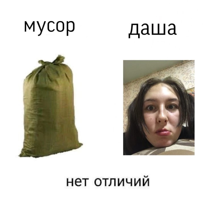 Даша и Аня Мем