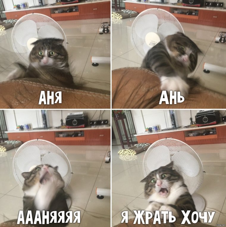 Приколы про Аню фото