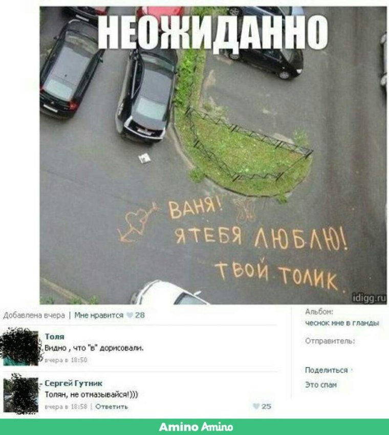 Приколы про толика
