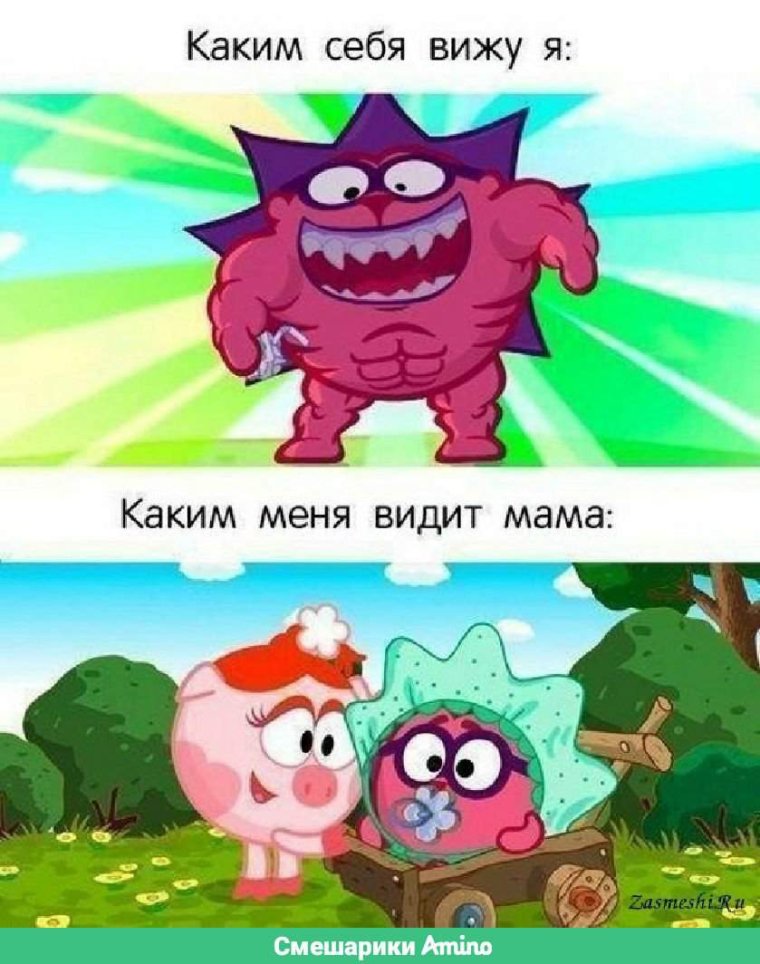 Смешарики приколы