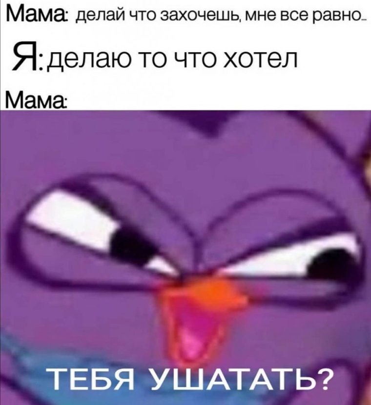 Совунья Мем