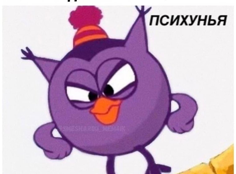 Мемы по Смешарикам