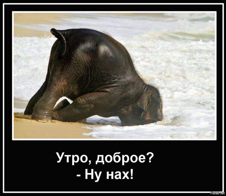 Суббота похмелье