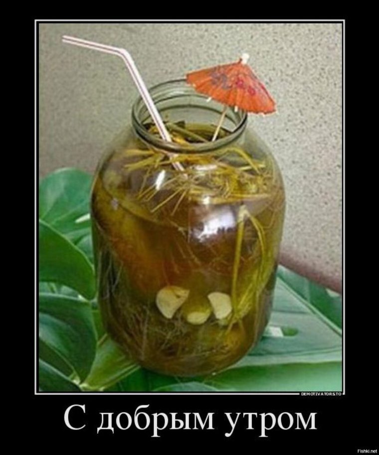 Прикольные картинки по рассольчику