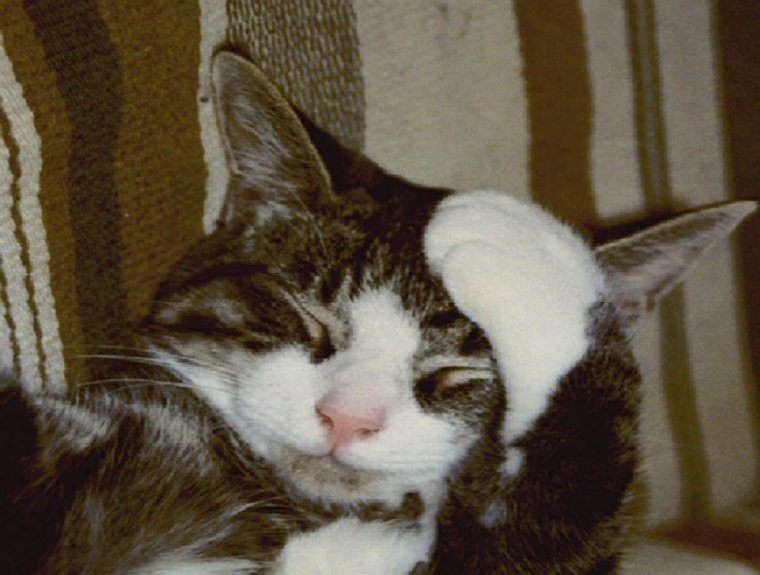 Плакаты про похмелье