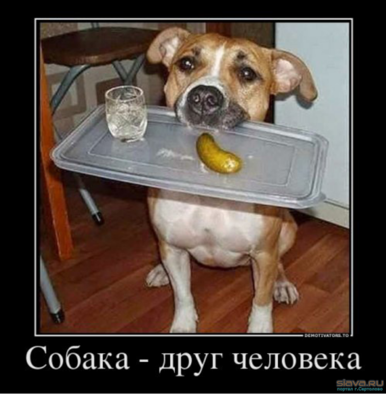 Рецепт от похмелья