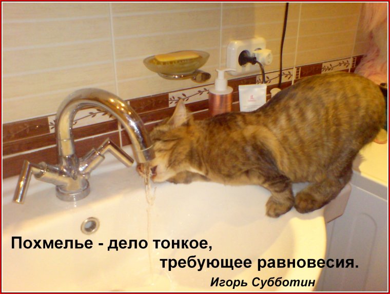 Фото с бодуна с приколом