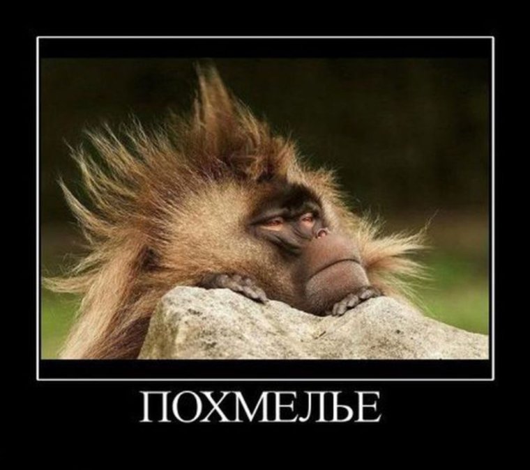 Похмелье картинки прикольные