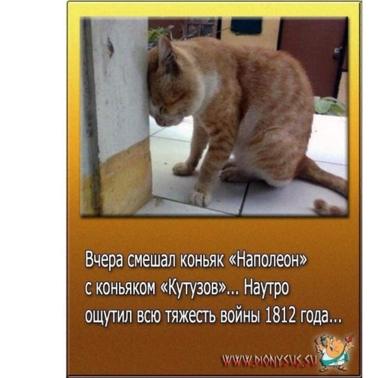 Похмелье приколы