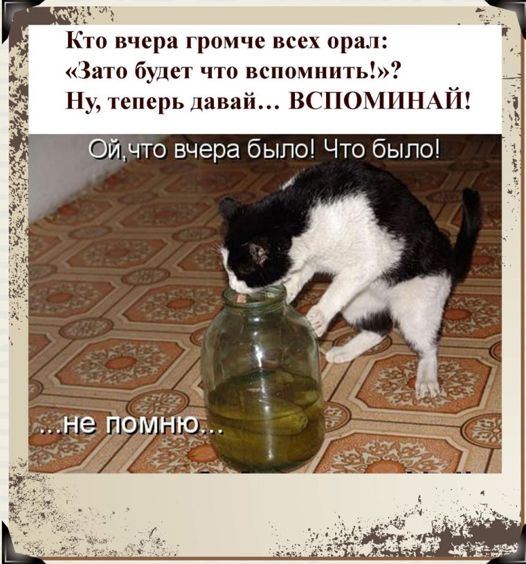 Привет с похмелья