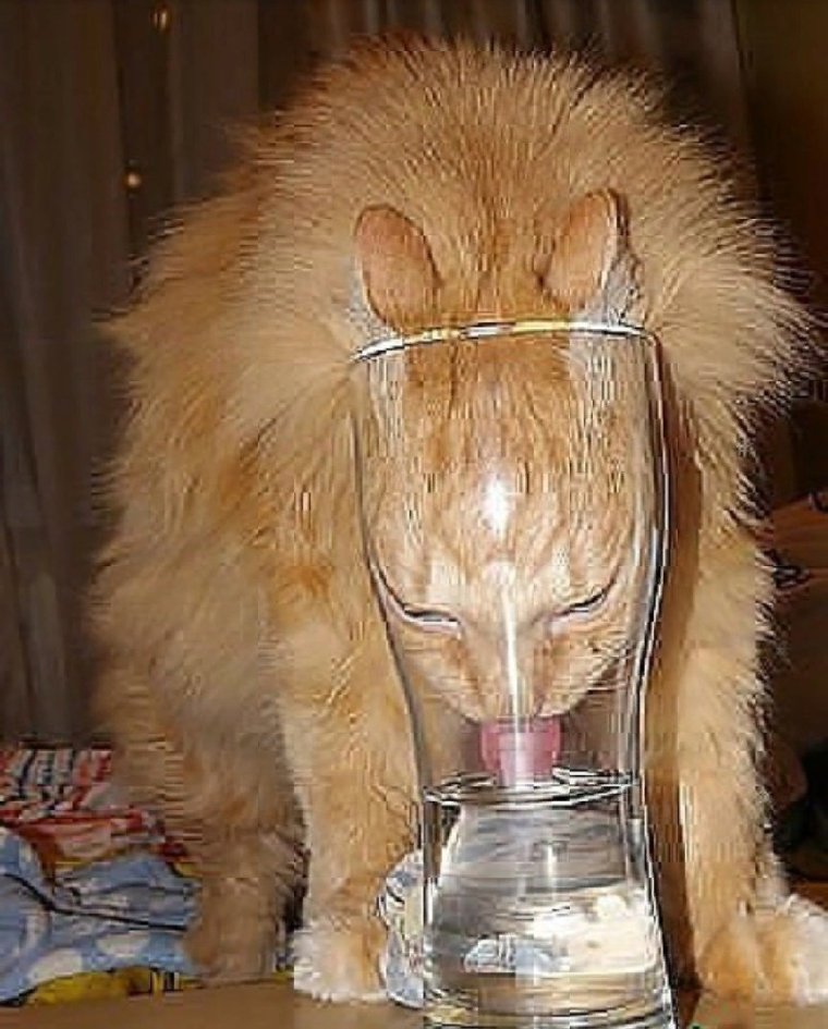 Юмористические картинки красавицы с похмелья