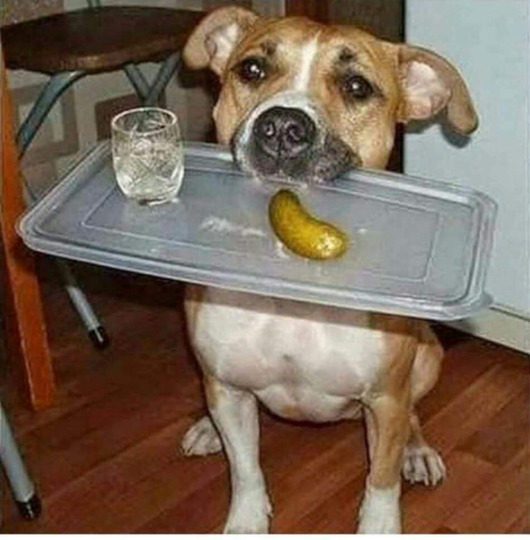 Способы от похмелья лучшие