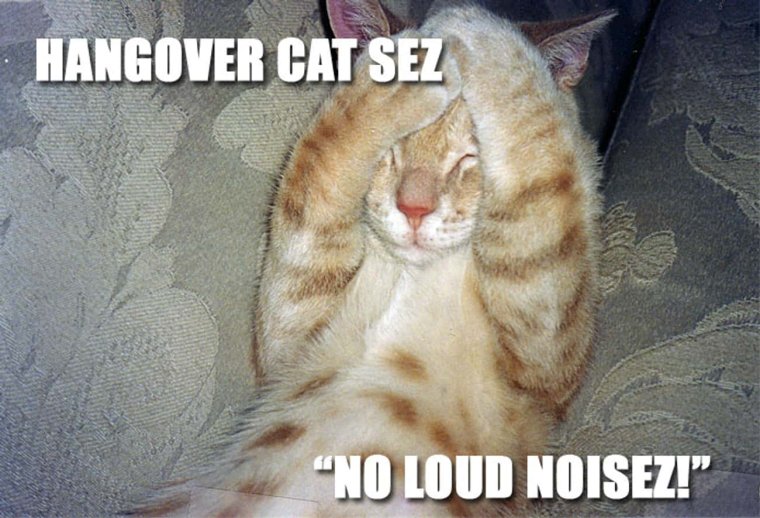 От похмелья картинки прикольные