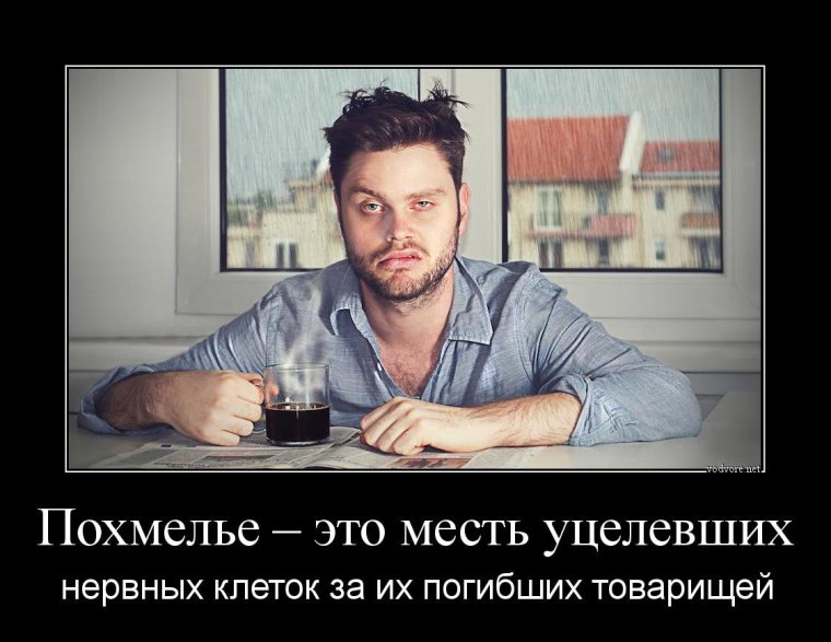 Похмелье карикатура