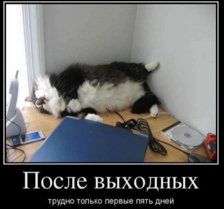 Смешные картинки про рабочий день