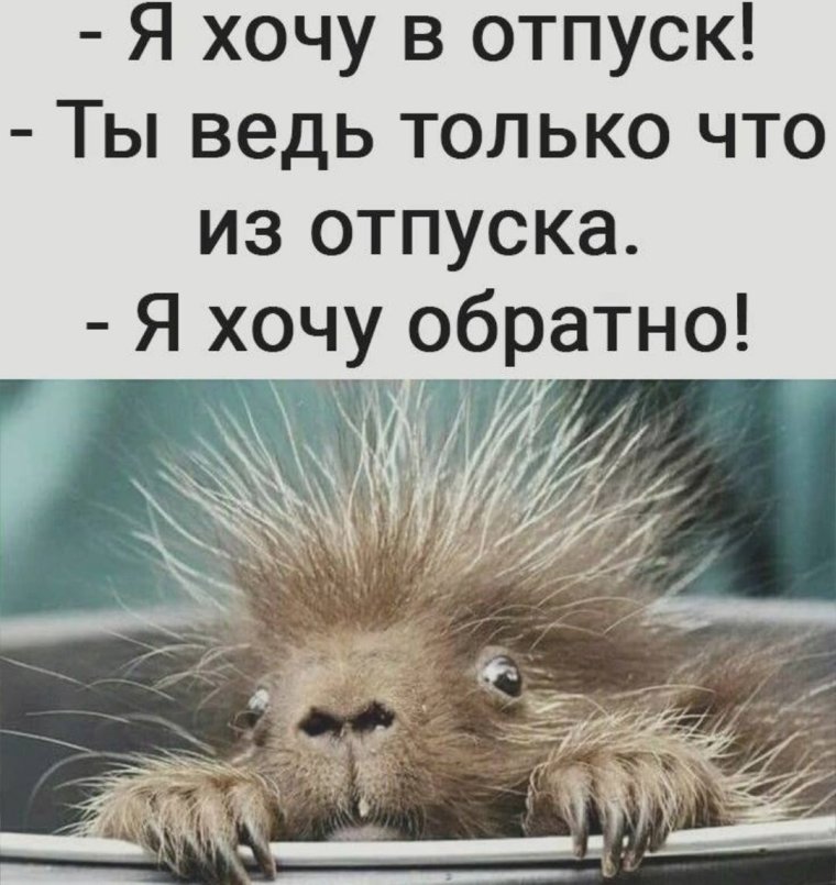 Первый день после отпуска