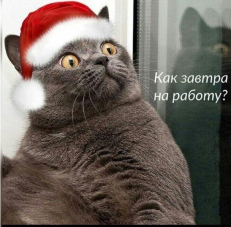 Послепрпздников на работу приколы