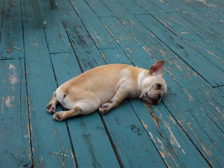 Прикольный график работы