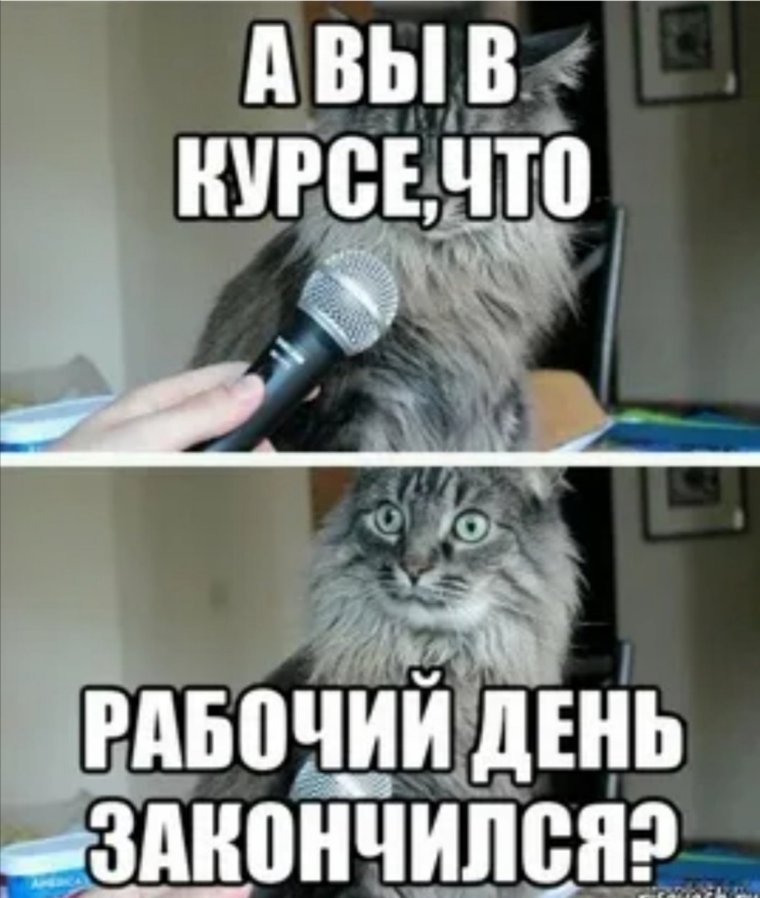 Приколы про работу