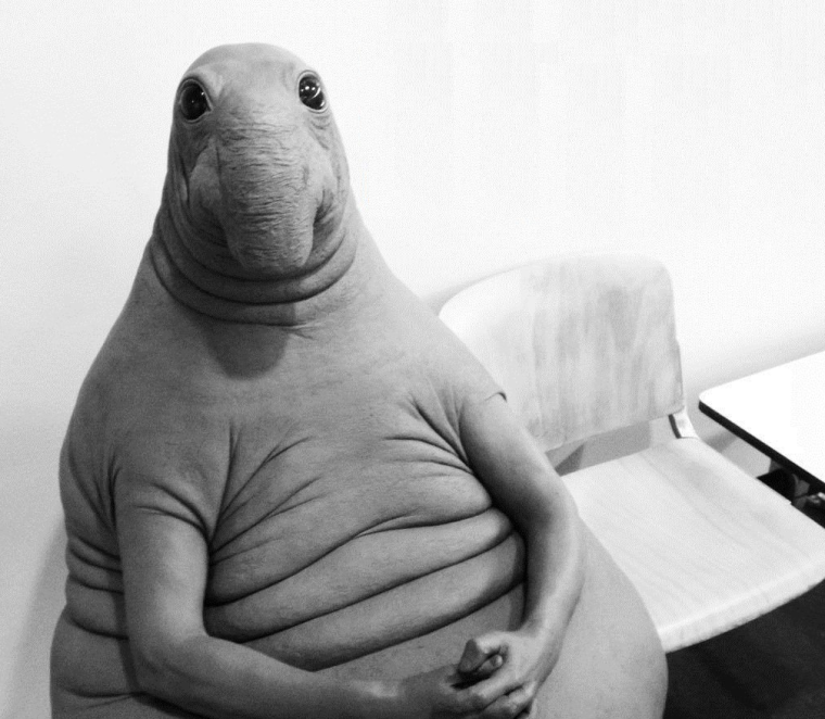 Ждун Мона Лиза