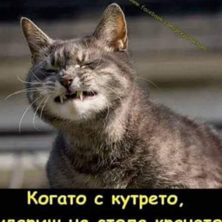 Послепрпздников на работу приколы