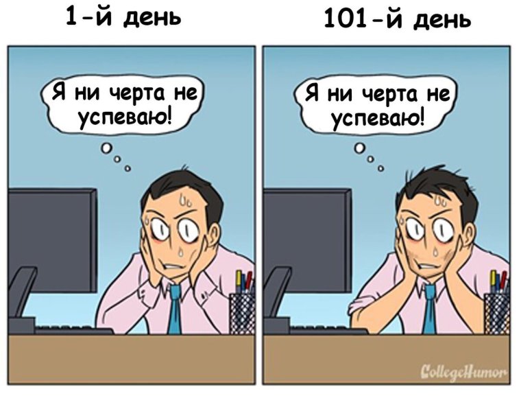 Распорядок дня в офисе приколы