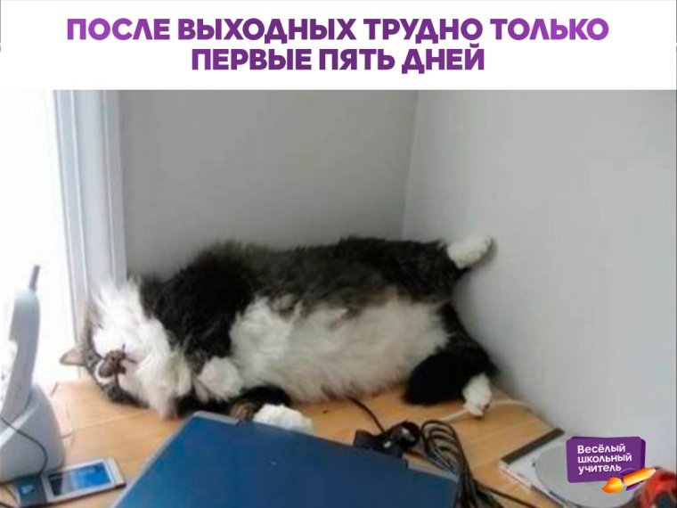 Вахта приколы