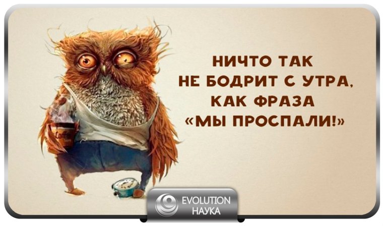 Приколы в офисе