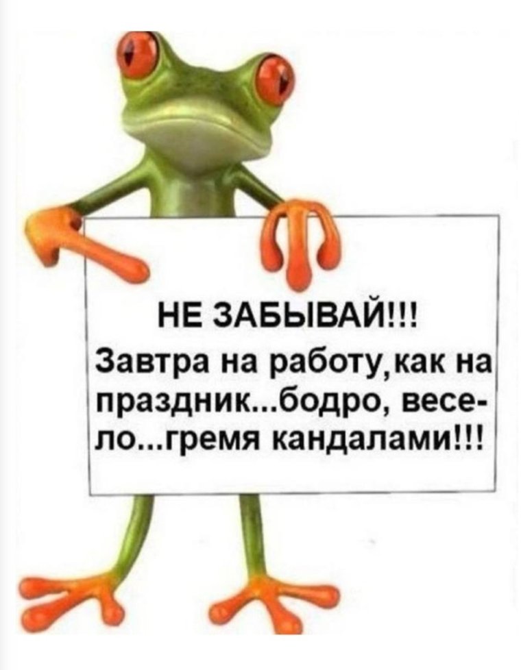 Среда приколы