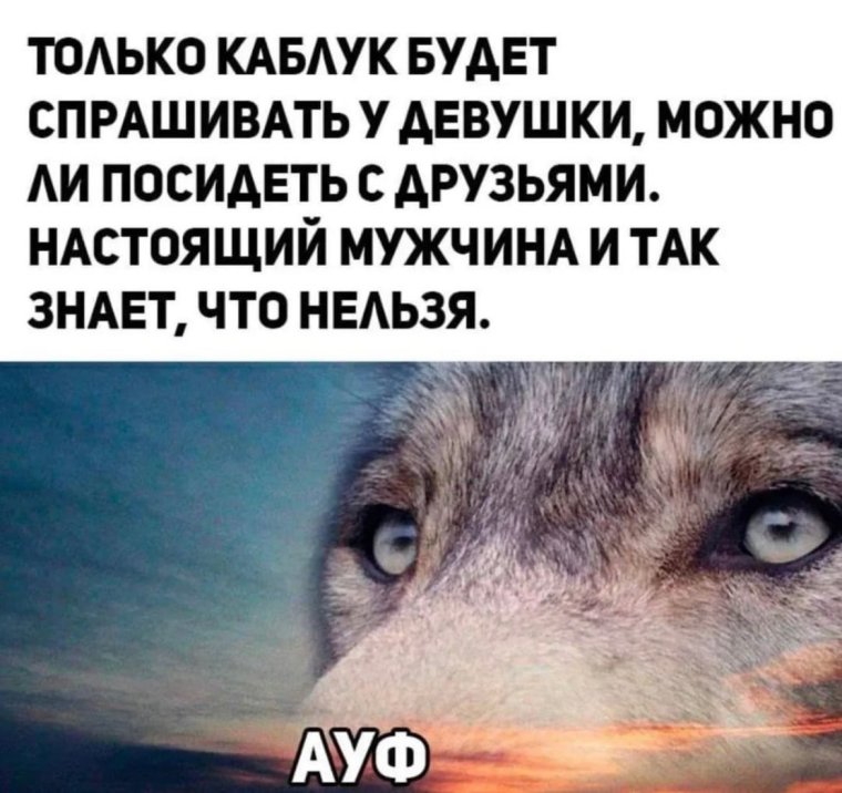 Собака у ног женщины