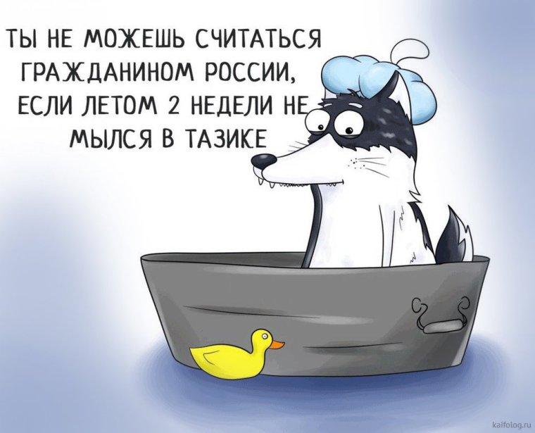 Ха ха хаски