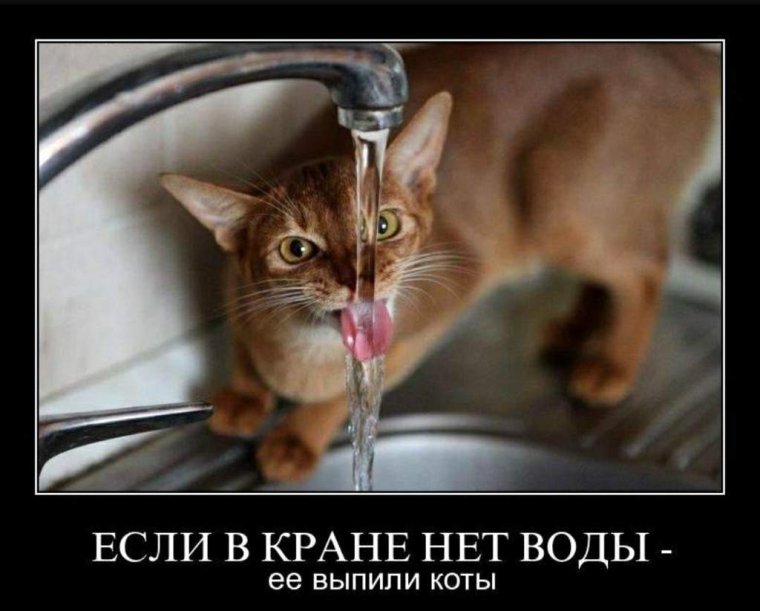Нет воды прикол