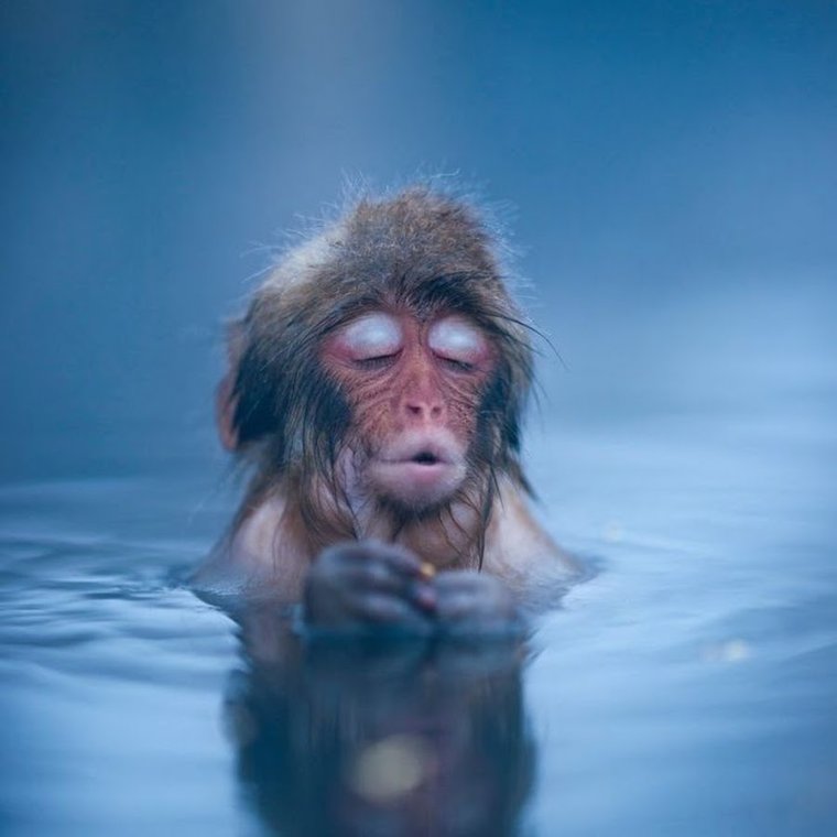 Перебои с водоснабжением