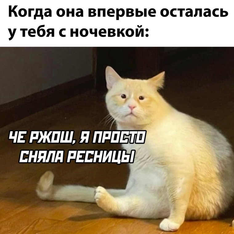 Смешные тесты
