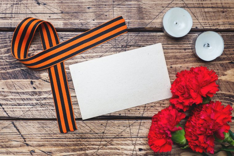 Георгиевская лента с гвоздикой