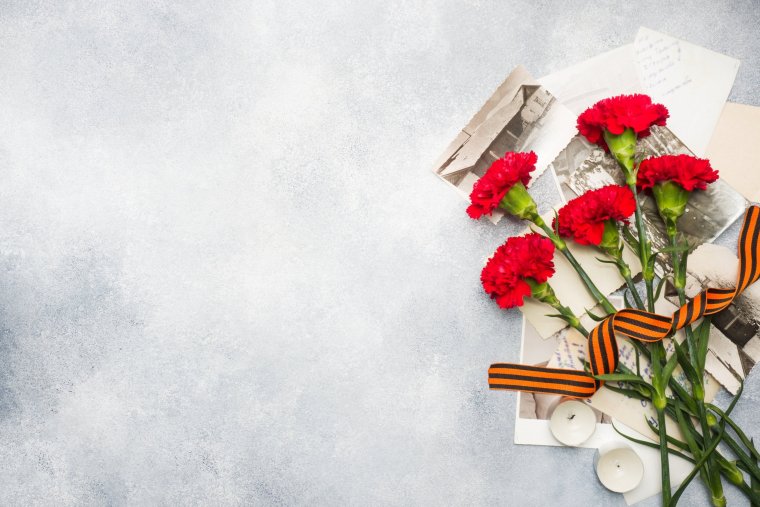 День Победы голуби