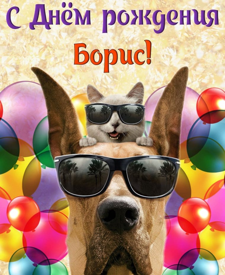 Прикольные поздравления с днем рождения