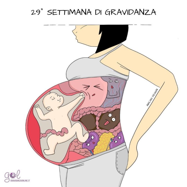 Юмор про беременных