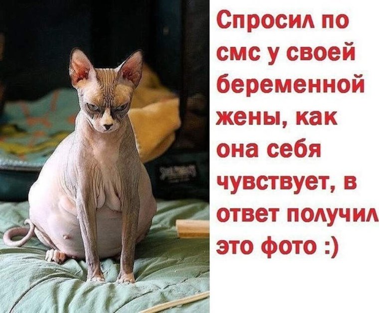 Оля беременная прикол