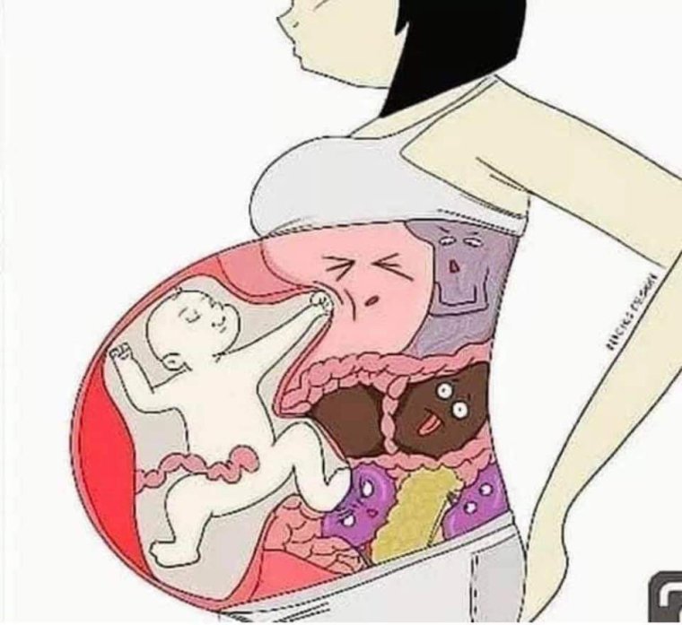 Смешные мемы про беременность